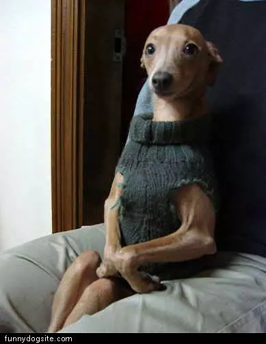 Sophisticated