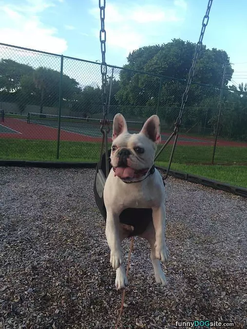 Swinging Away