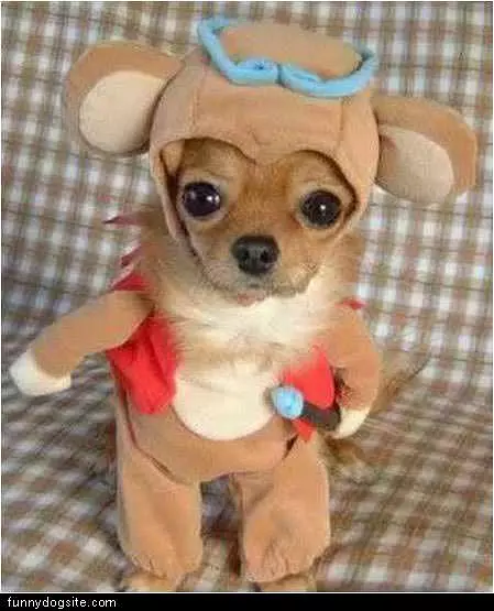 Dog Costume