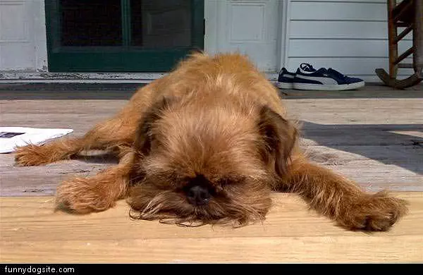 Pooped Out