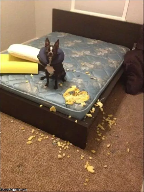 This Wasnt Me