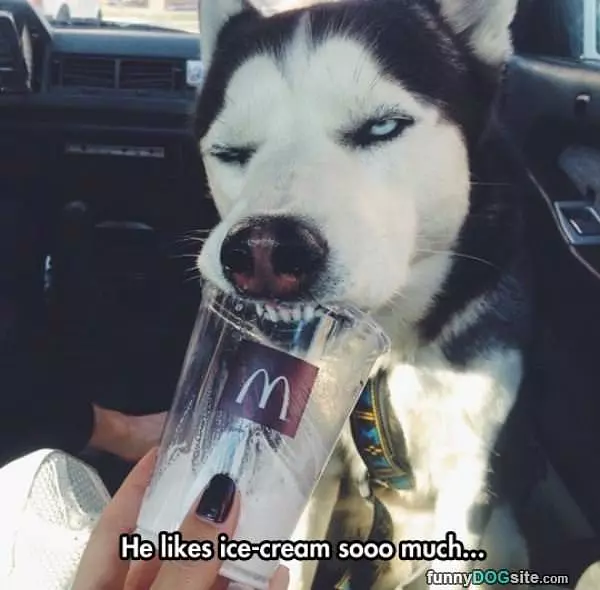 Love Me Some Ice Cream