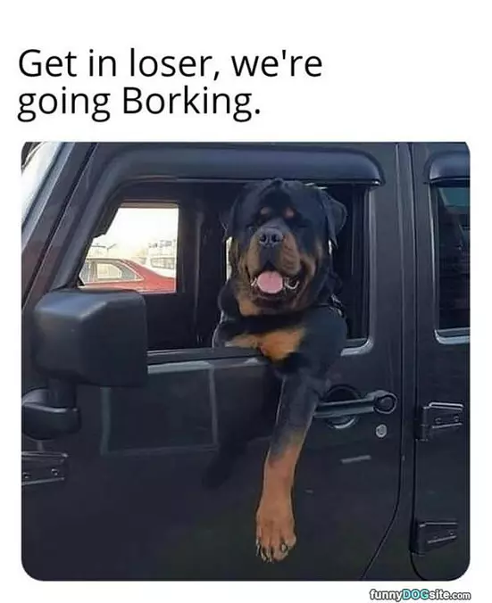 Get In Loser