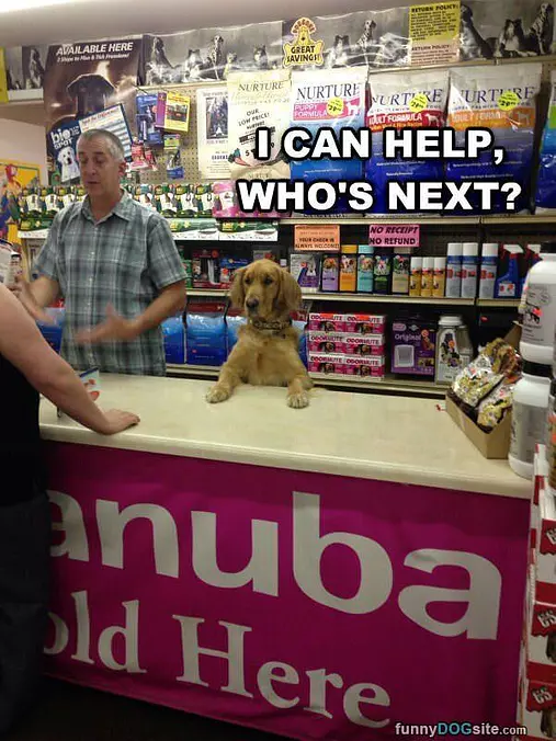 Who Is Next Please