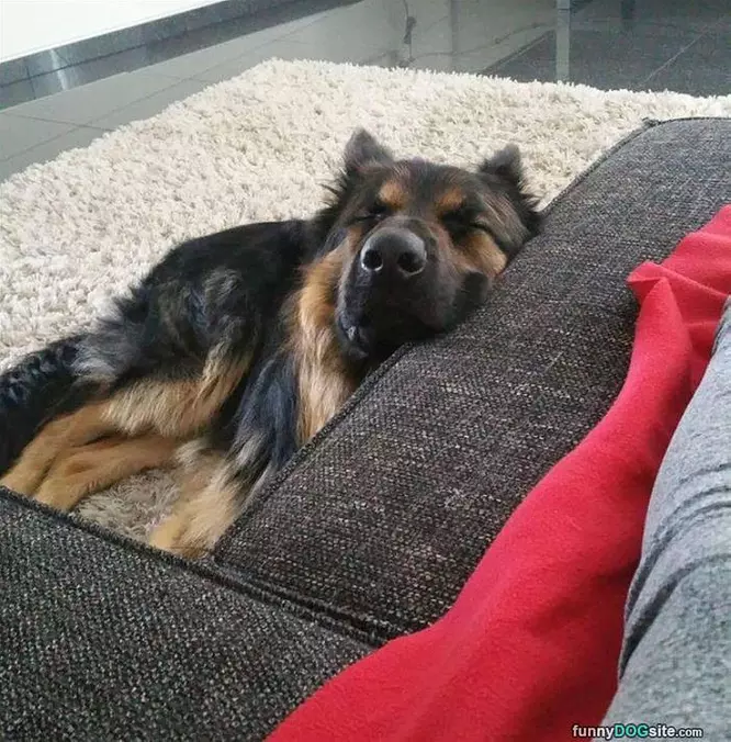 Sleepy Days