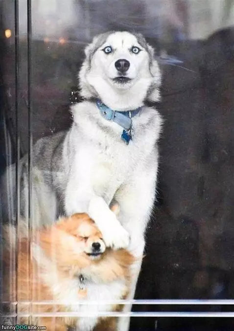 Do Not Look