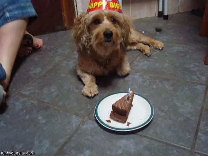 Brads Birthday