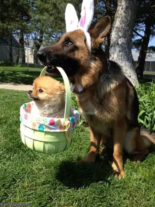 Delivering Some Easter Eggs