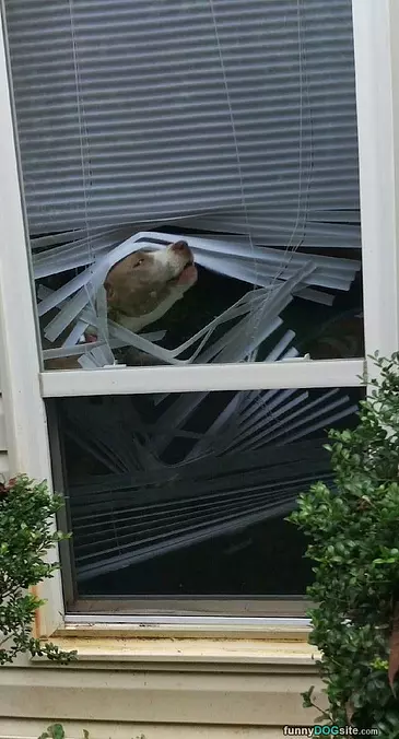 Keeping The Bad Guys Out