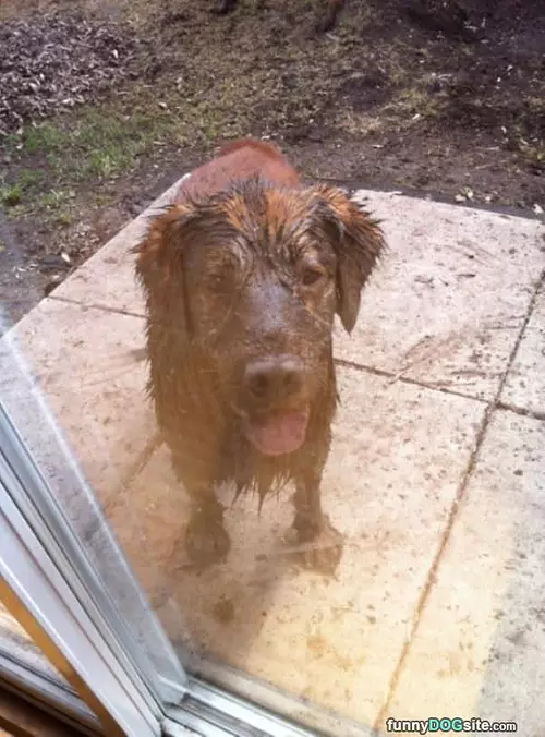 A Little Muddy