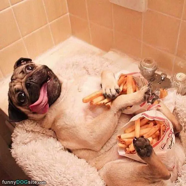 This Is Heaven