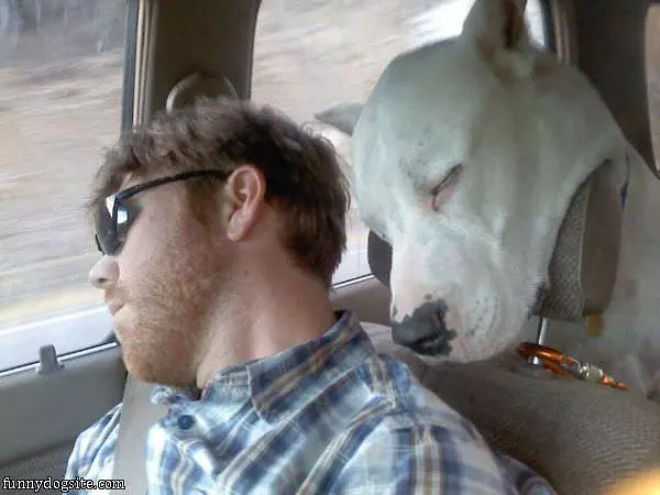 Me And Master Are Tired