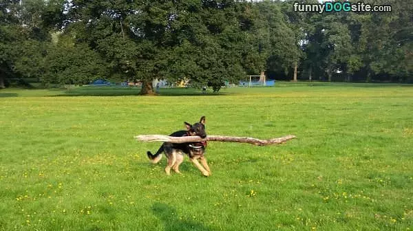 Learning To Fetch