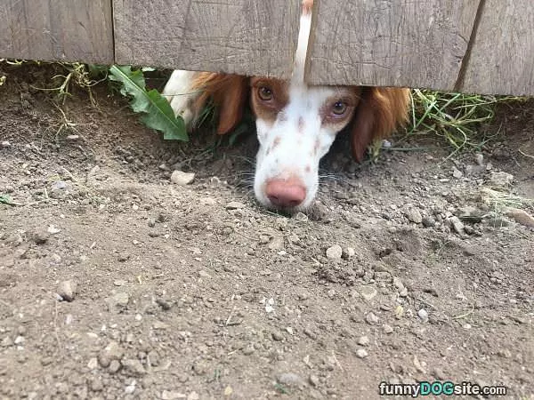 Hello Out There