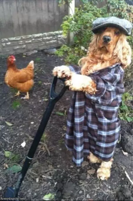 Yard Work