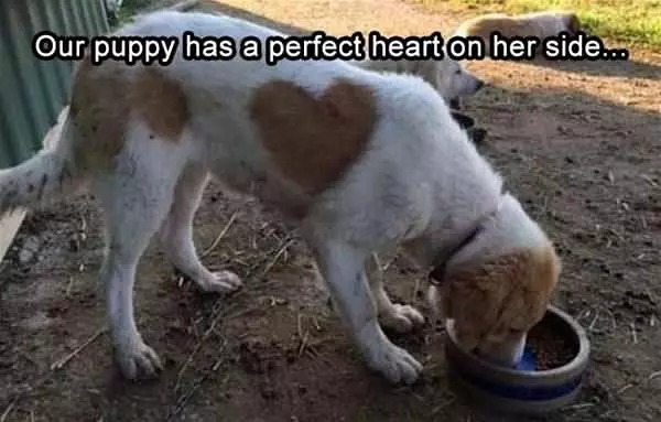 A Heart On Her Side