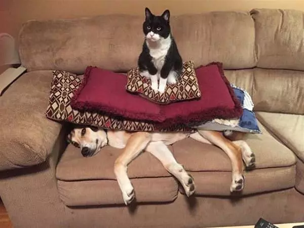 I Make A Good Seat