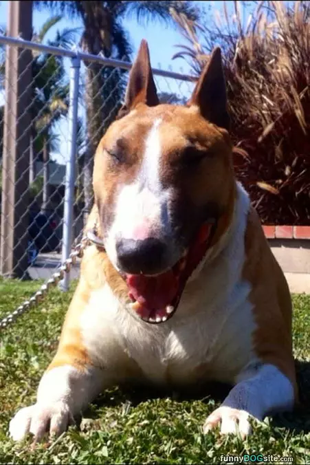 Spanky Smiling
