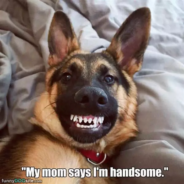 My Mom Says Im Handsome