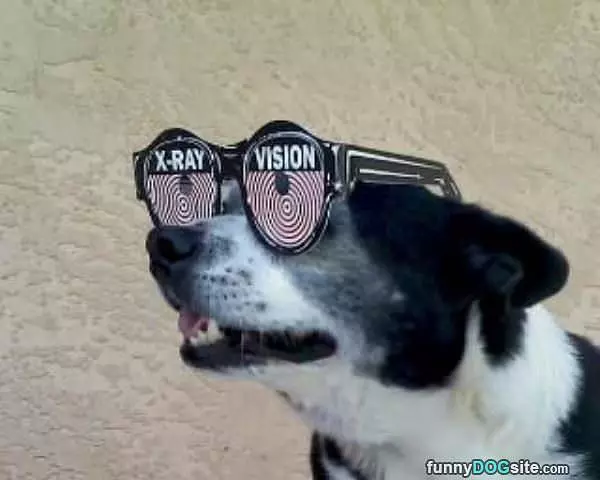 X Ray Vision