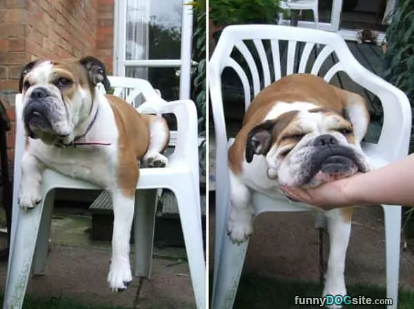 These Chairs Are Nice