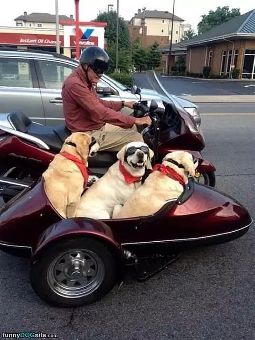 Going For A Ride