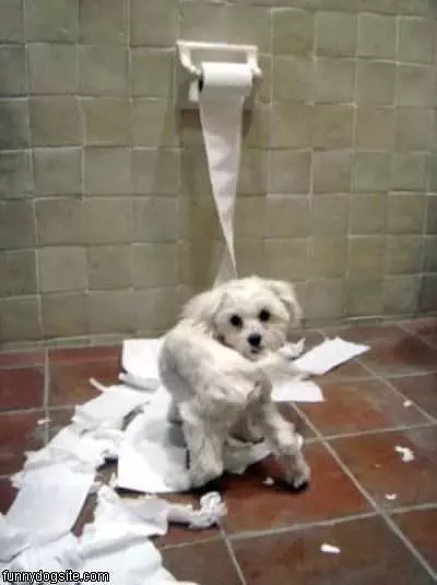 More Tp