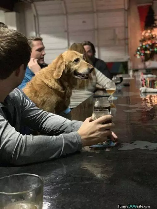 Out With The Boys
