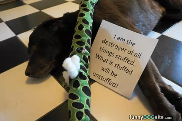 Destroyer