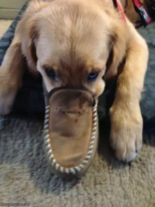 Taking A Big Sniff