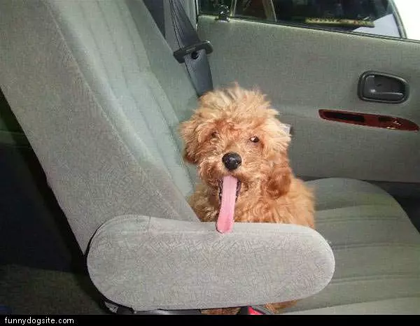 Giant Tongue