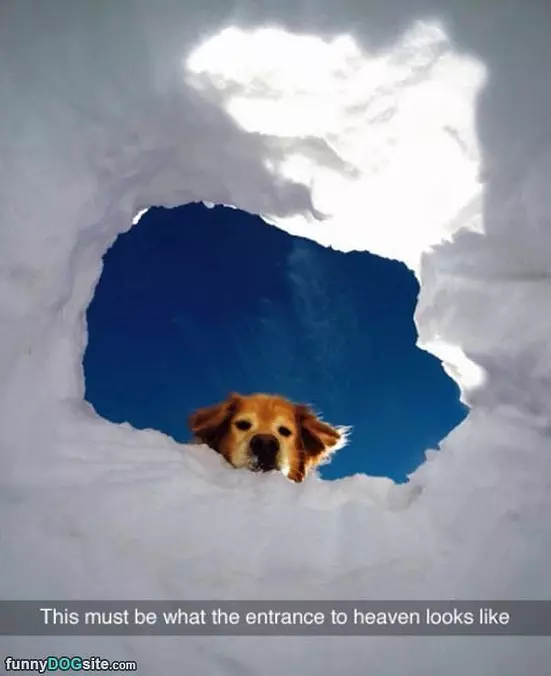 The Entrance To Heaven