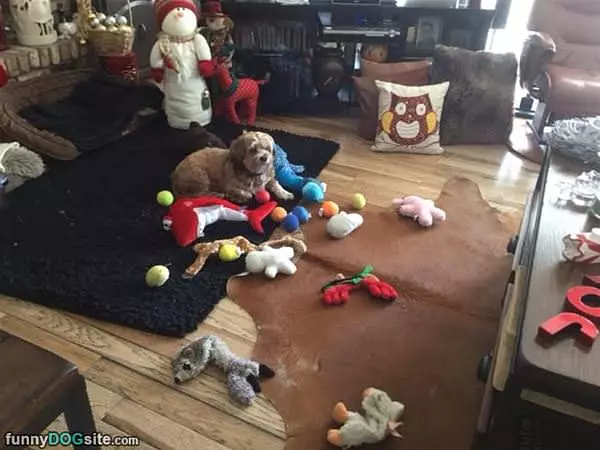 Toby And Friends