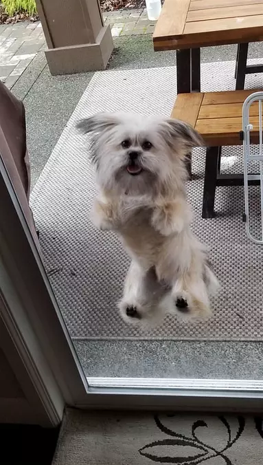Jump For Joy