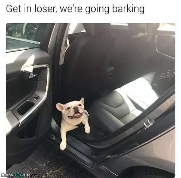 Get In Loser