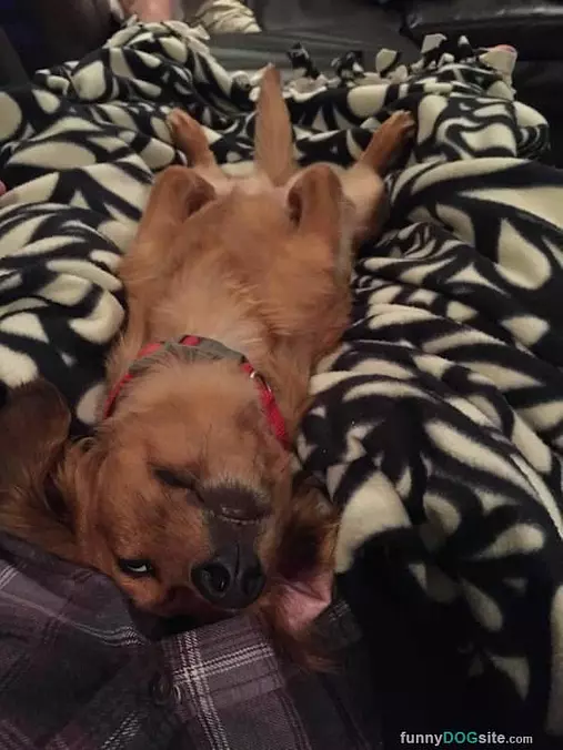 Lounging Around