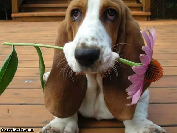 For You