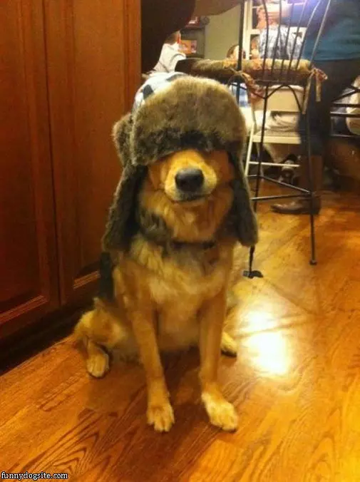 Do You Like My Hat