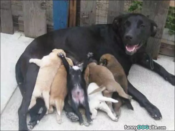 Its Feeding Time