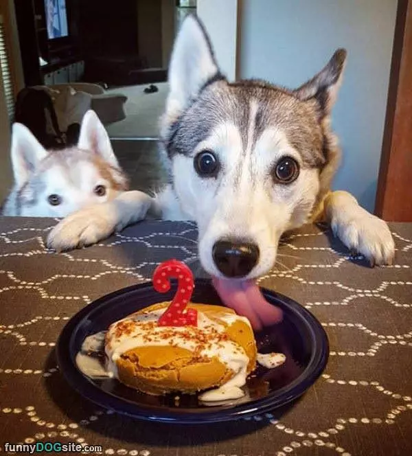 My 2nd Birthday