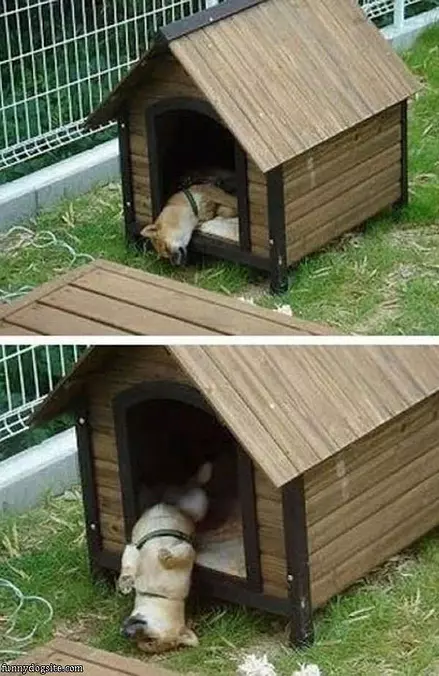 Sleep Soundly