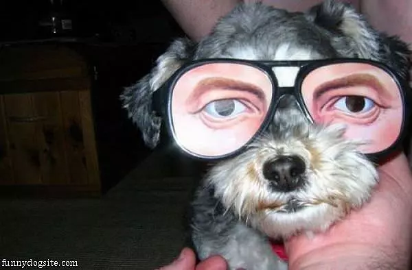 Nice Glasses