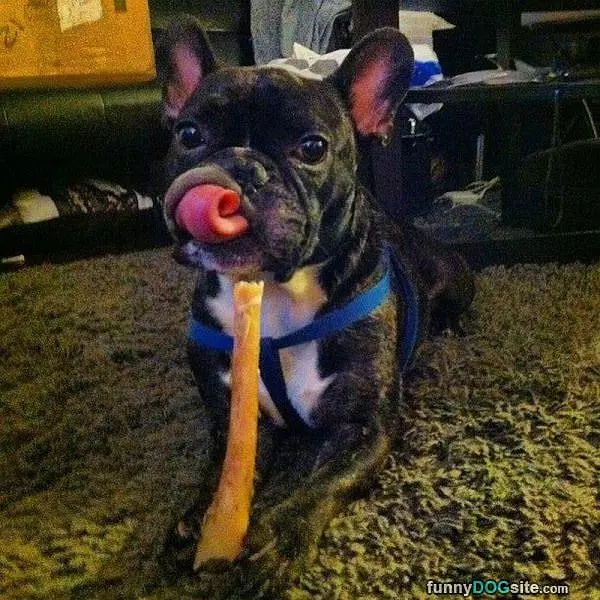 Nom Nom Nom Tongue