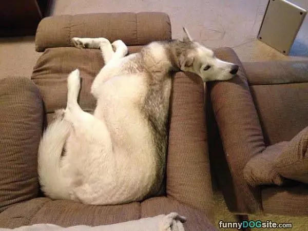 How I Sit