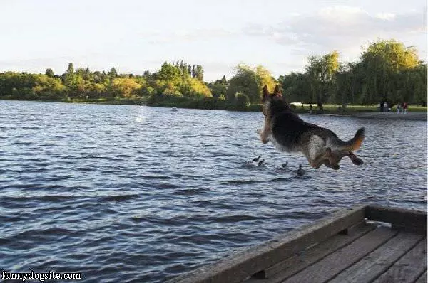 I Can Fly