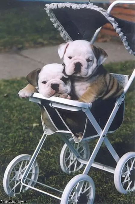 Hanging Out