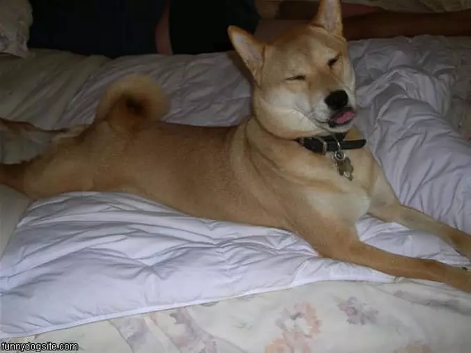 Little Nap Time
