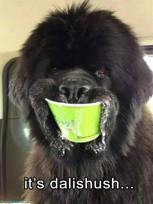 This Is Delicious