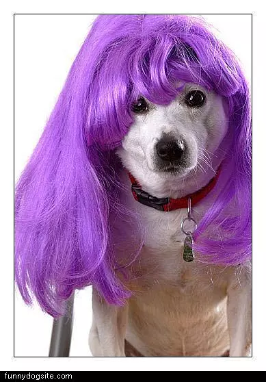 Purple Wig