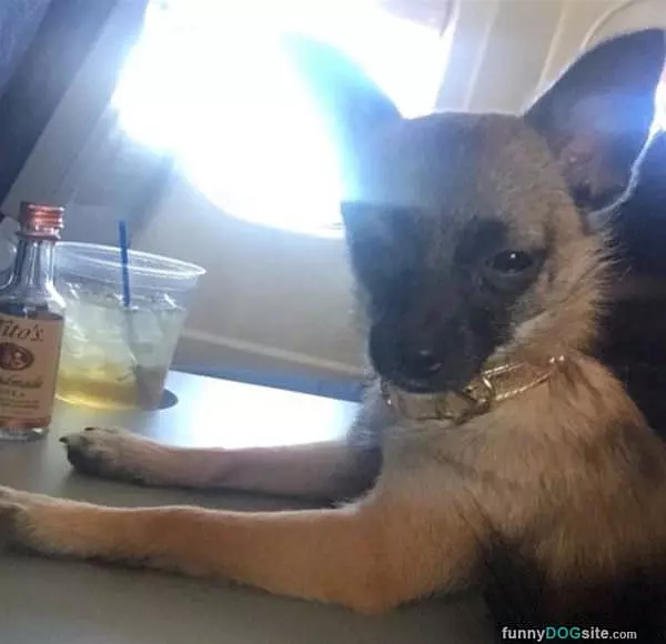 Chillin Out